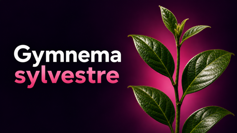 Gymnema sylvestre
